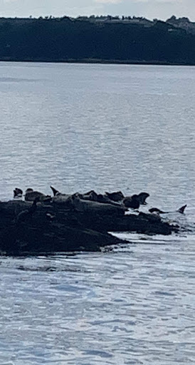 Tour Agency «Portland Discovery Land and Sea Tours», reviews and photos, 170 Commercial St, Portland, ME 04101, USA