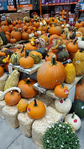 Home Improvement Store «The Home Depot», reviews and photos, 5475 University Pkwy, University Park, FL 34201, USA