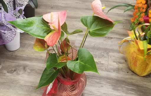 Grocery Store «Vons», reviews and photos, 932 E Badillo St, Covina, CA 91724, USA