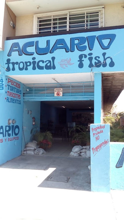 Acuario tropical Fish