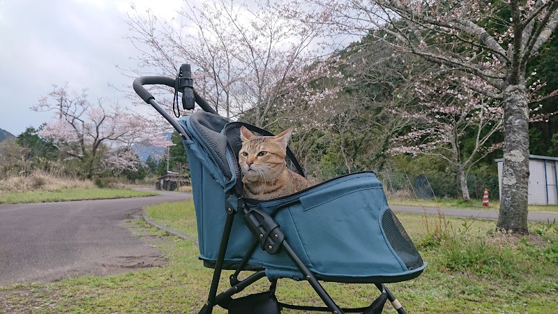 押野農村公園