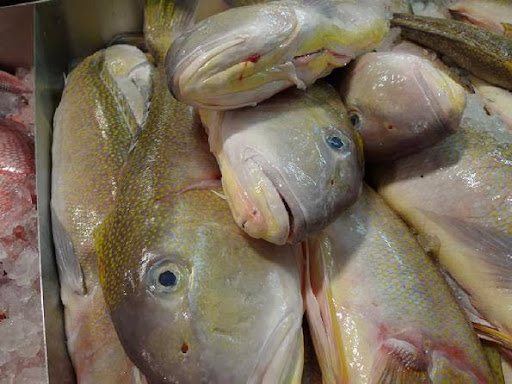 Seafood Market «Metropolitan Seafood & Gourmet», reviews and photos, 1320 US-22, Lebanon, NJ 08833, USA