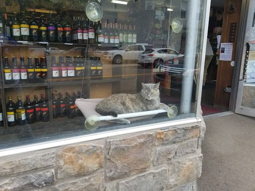 Supermarket «Tops», reviews and photos, 16 W Main St, Hancock, NY 13783, USA