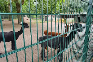 Gronau Zoo image