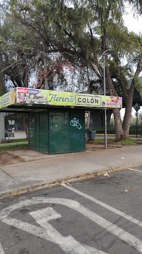 Comentarios y opiniones de Florería Colón