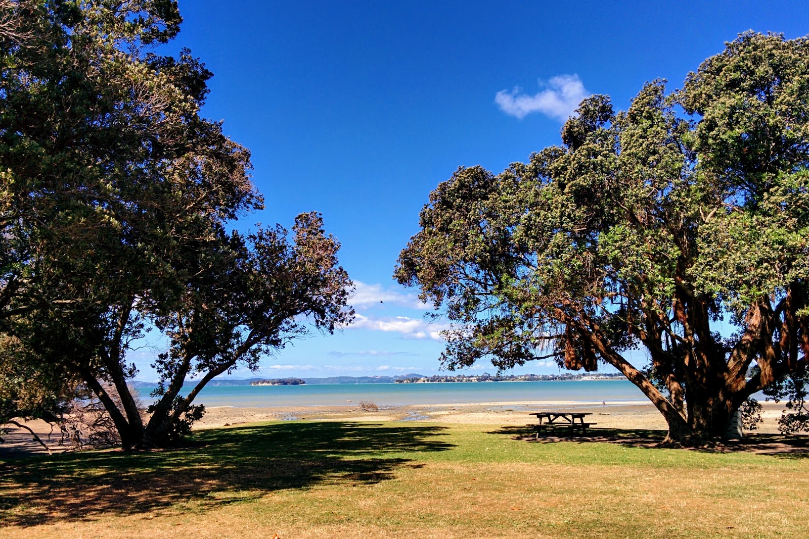Cockle Bay Beach'in fotoğrafı ve yerleşim