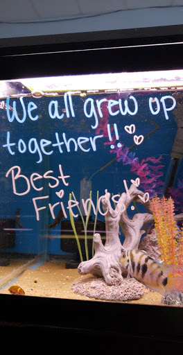 Pet Store «World of Wet Pets», reviews and photos, 8542 SW Apple Way, Portland, OR 97225, USA