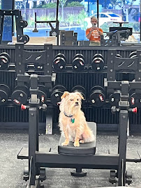 Iron Addiction 2.0 - Photo 9 - Car repair in Citrus Heights, CA, Roseville