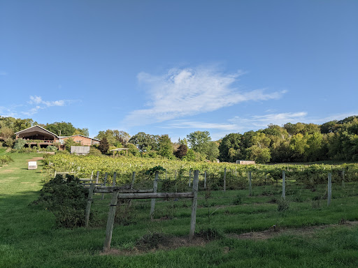 Winery «Falconer Vineyards», reviews and photos, 3572 Old Tyler Rd, Red Wing, MN 55066, USA