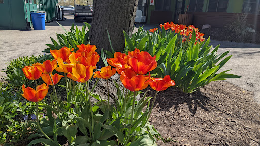 Zoo «Seneca Park Zoo», reviews and photos, 2222 St. Paul Street, Rochester, NY 14621, USA