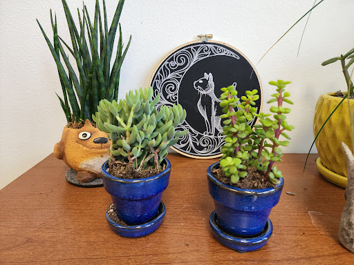 Florist «Urban Sense», reviews and photos, 5402 W Vliet St, Milwaukee, WI 53208, USA