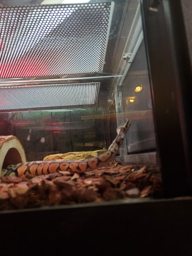 Pet Store «Pets Plus Inc», reviews and photos, 2610 Jefferson Davis Hwy, Stafford, VA 22554, USA