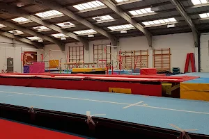 Barnsley Gymnastics Club image