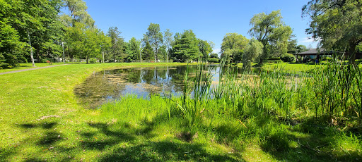 Wohlfarths Pond image 9