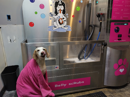 Pet Groomer «Belly scRubs Self Service Pet Wash», reviews and photos, 119 WV-34 #1, Hurricane, WV 25526, USA