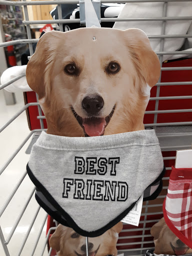 Craft Store «Michaels», reviews and photos, 13540 Hoover Creek Blvd #800, Charlotte, NC 28273, USA