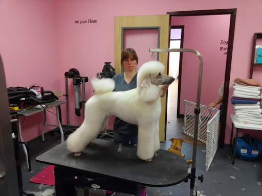 Pet Groomer «Woof Gang Bakery & Grooming, The Villages», reviews and photos, 3682 Meggison Rd, The Villages, FL 32163, USA