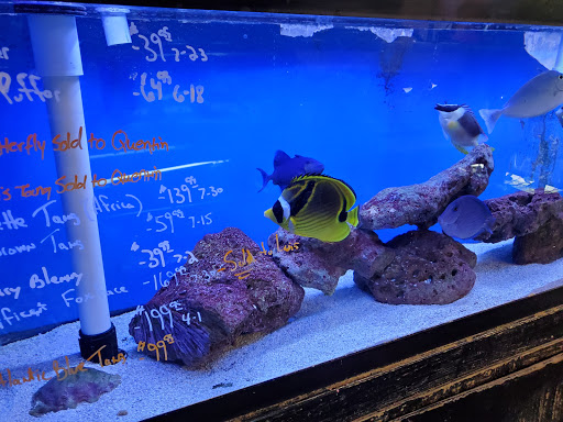 Pet Store «Pet Connection», reviews and photos, 29551 Five Mile Road, Livonia, MI 48154, USA