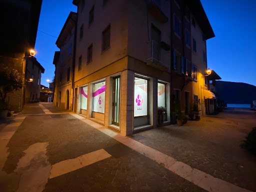 Pensioni per cani e dog hotel a Zampe Felici