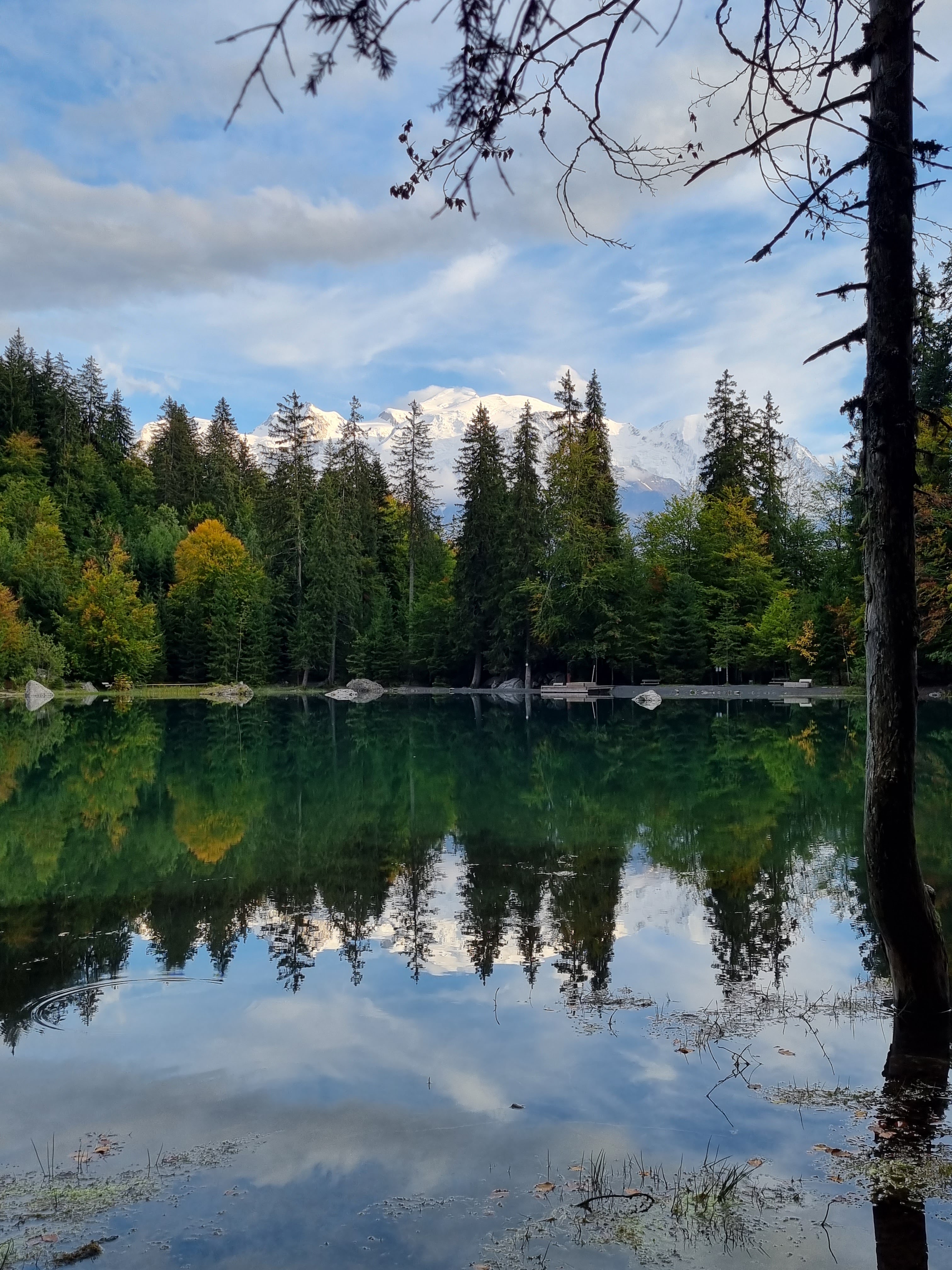 Photo n° 9 de l'avis de alexandre.u fait le 12/10/2021 à 14:22