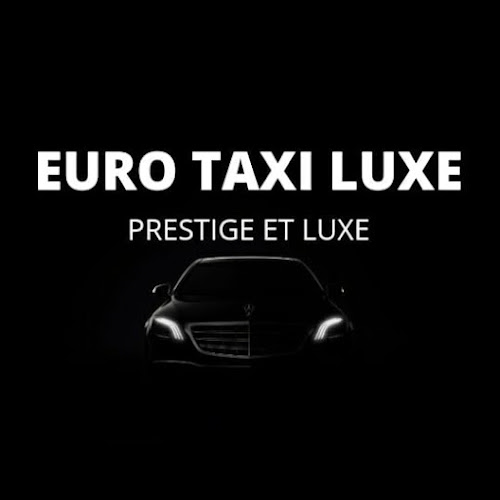 Beoordelingen van Euro Taxi Luxe in Vilvoorde - Taxibedrijf