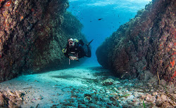 Foto di Cala de las Hermanicas zona selvaggia