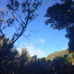 Photo n°5 de l'avis de Kate.h fait le 06/11/2017 à 18:26 sur le  Rabaçal Nature Spot Cafe à 