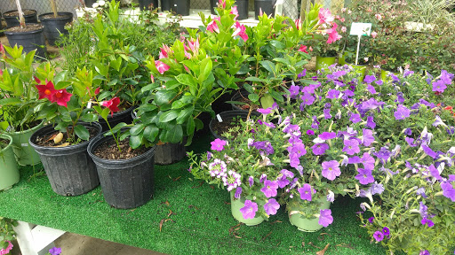 Hardware Store «Hagan Ace Hardware», reviews and photos, 6567 US-90, Glen St Mary, FL 32040, USA