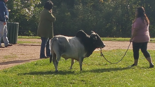 Park «Quail Lake Park», reviews and photos, 915 E Cheyenne Mountain Blvd, Colorado Springs, CO 80906, USA