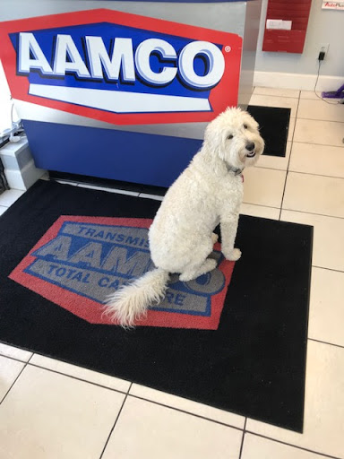 Transmission Shop «AAMCO Transmissions & Total Car Care», reviews and photos, 3030 Davis Blvd, Naples, FL 34104, USA