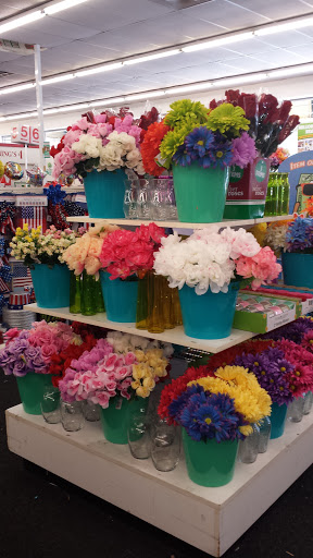 Dollar Store «Dollar Tree», reviews and photos, 725 Cherry Rd #130, Rock Hill, SC 29732, USA