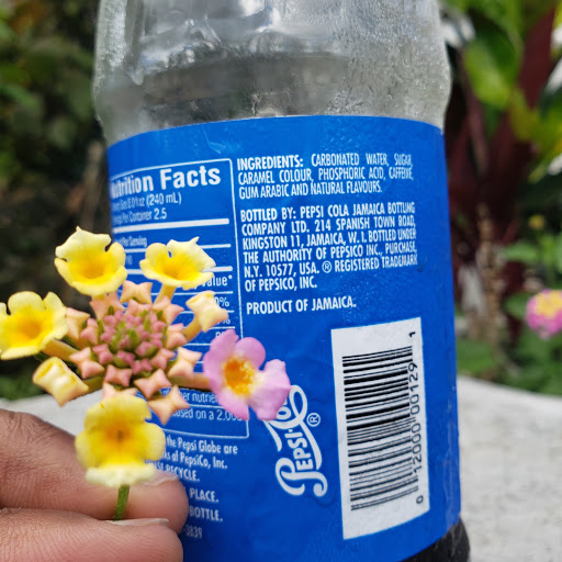 Health Food Store «Green Garden Health Food», reviews and photos, 3543 White Plains Rd #212, Bronx, NY 10467, USA