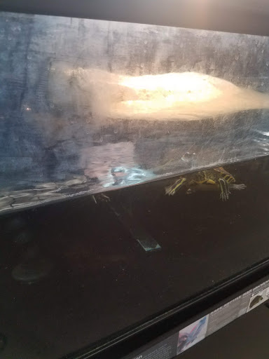 Pet Supply Store «Petco Animal Supplies», reviews and photos, 78720 CA-111, La Quinta, CA 92253, USA