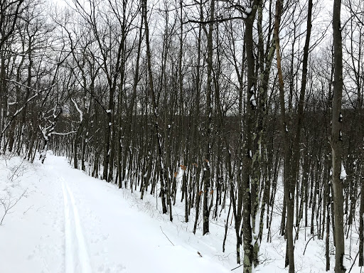 Ski Resort «High Point Cross Country Ski Center», reviews and photos, 1480 NJ-23, Sussex, NJ 07461, USA