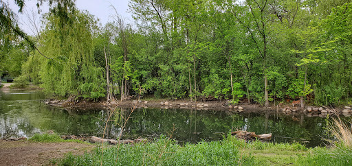 Nature Preserve «Wildwood Nature Center», reviews and photos, 529 Forestview Ave, Park Ridge, IL 60068, USA