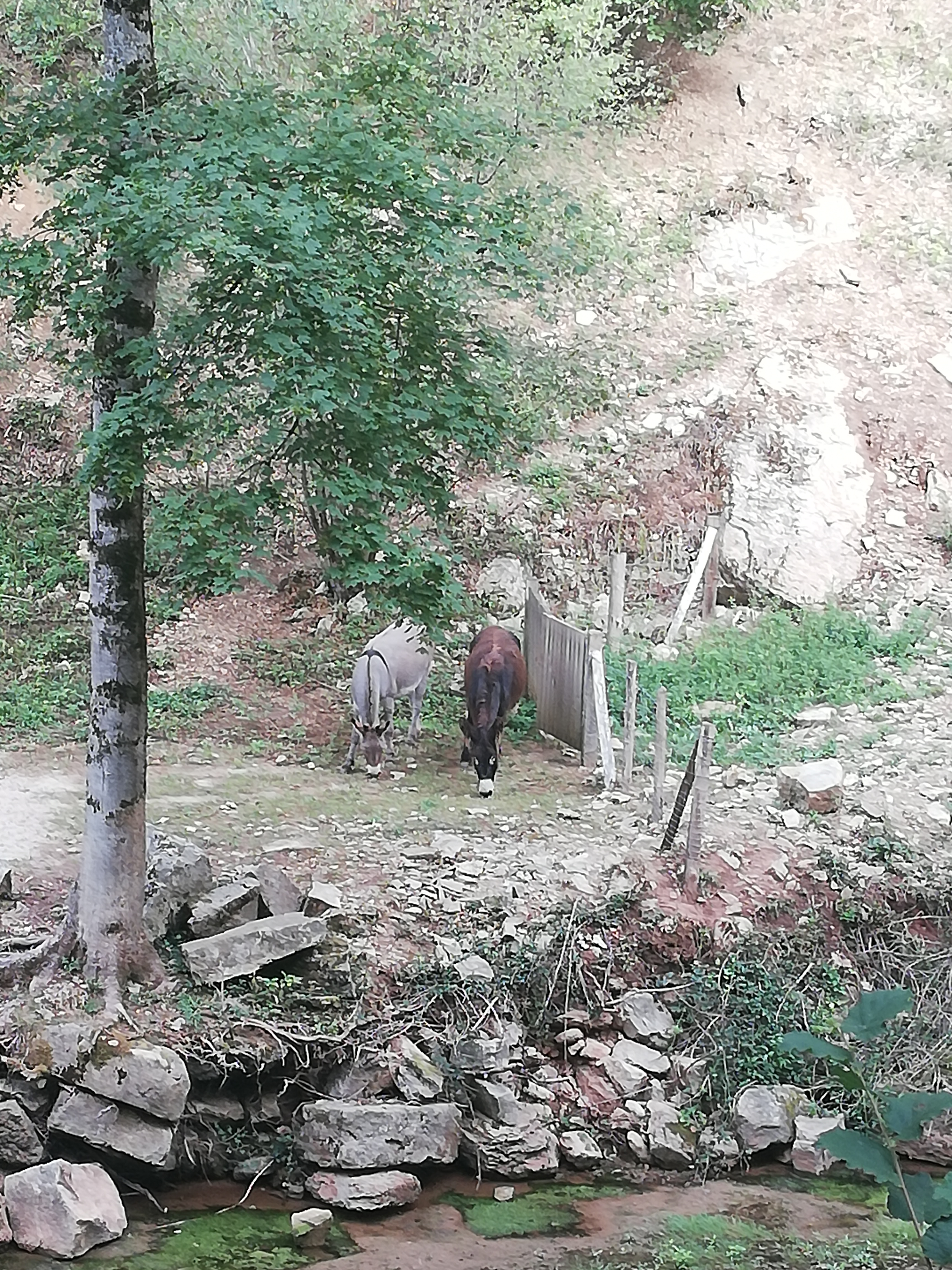 Photo n° 4 de l'avis de Fanie.l fait le 08/09/2020 à 13:53