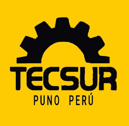 Opiniones de Tecsur Peru Sede central Puno en Puno - Escuela