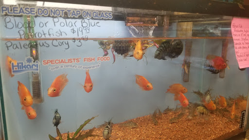 Pet Supply Store «Living Things», reviews and photos, 3437 PA-309, Orefield, PA 18069, USA