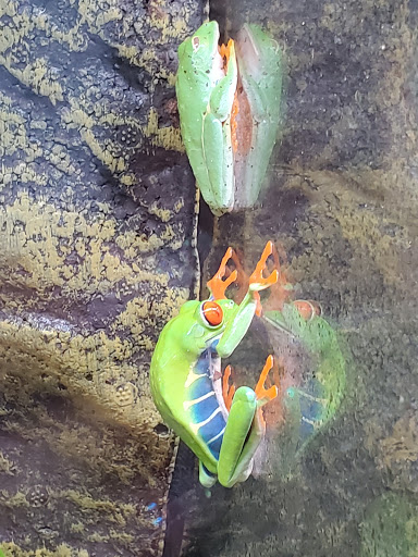 Pet Store «Everything Pet», reviews and photos, 3616 N Fry Rd, Katy, TX 77449, USA