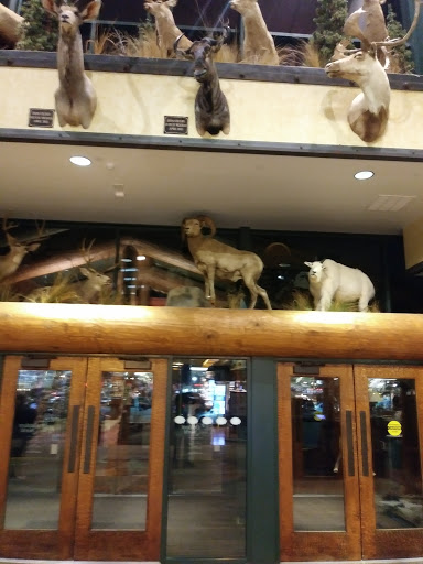 Shopping Mall «Cincinnati Mall», reviews and photos, 600 Cincinnati Mills Dr, Cincinnati, OH 45240, USA