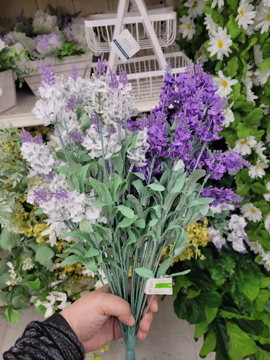 Craft Store «Michaels», reviews and photos, 1700 Deming Way #120, Middleton, WI 53562, USA