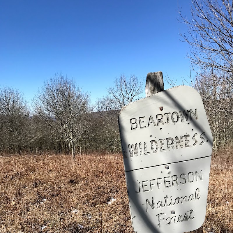 Beartown Wilderness