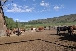 Granite Creek Guest Ranch image
