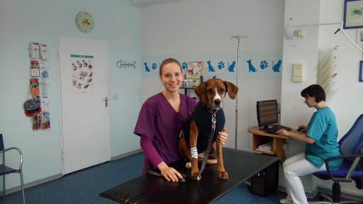 Hundenothilfe Pro Canis unter Trautskirchen, 