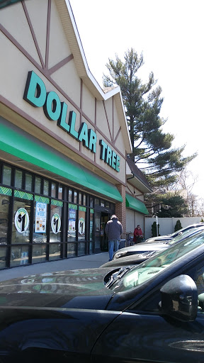 Dollar Store «Dollar Tree», reviews and photos, 250 Jericho Turnpike #80, Floral Park, NY 11001, USA