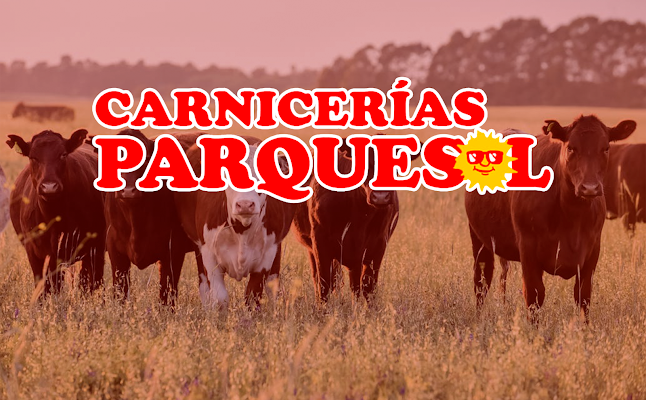 Opiniones de Carnicerías Parquesol en Colonia - Supermercado