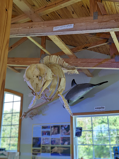 Bonehenge Whale Center
