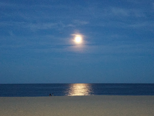 Miniature Golf Course «Lighthouse Point Miniature Golf Club», reviews and photos, 801 Boardwalk, Point Pleasant Beach, NJ 08742, USA