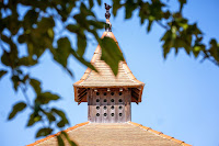 Photos du propriétaire du Restaurant Les Pigeons du Mont Royal - Élevage de pigeons - Ferme Auberge à Lombers - n°1