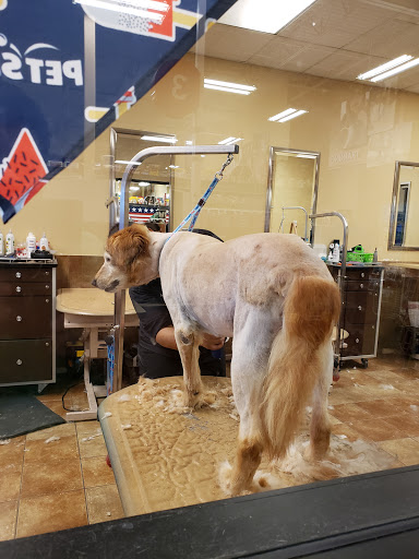 Pet Supply Store «PetSmart», reviews and photos, 3340 FM 544 Ste 800, Wylie, TX 75098, USA